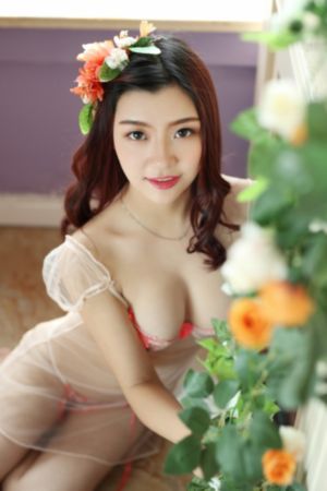 三年片在线观看免费观看大_DVD免费观看