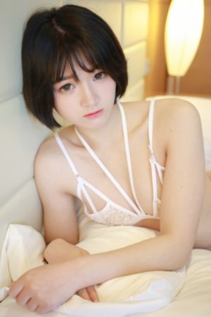 狮子王辛巴电影免费看完整版_HD高清视频播放