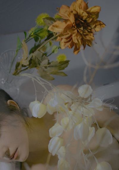 苹果电视剧_完整视频大全